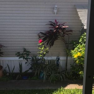 Meet your Posher, Lynn